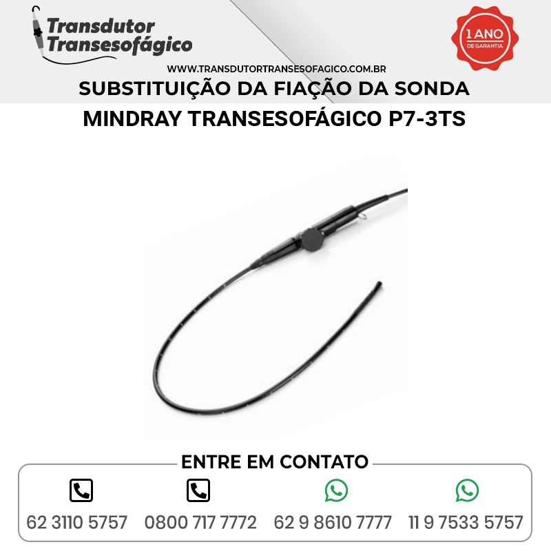 SUBSTITUICAO DA FIACAO TRANSDUTOR MINDRAY TRANSESOFÁGICO P7 3TS